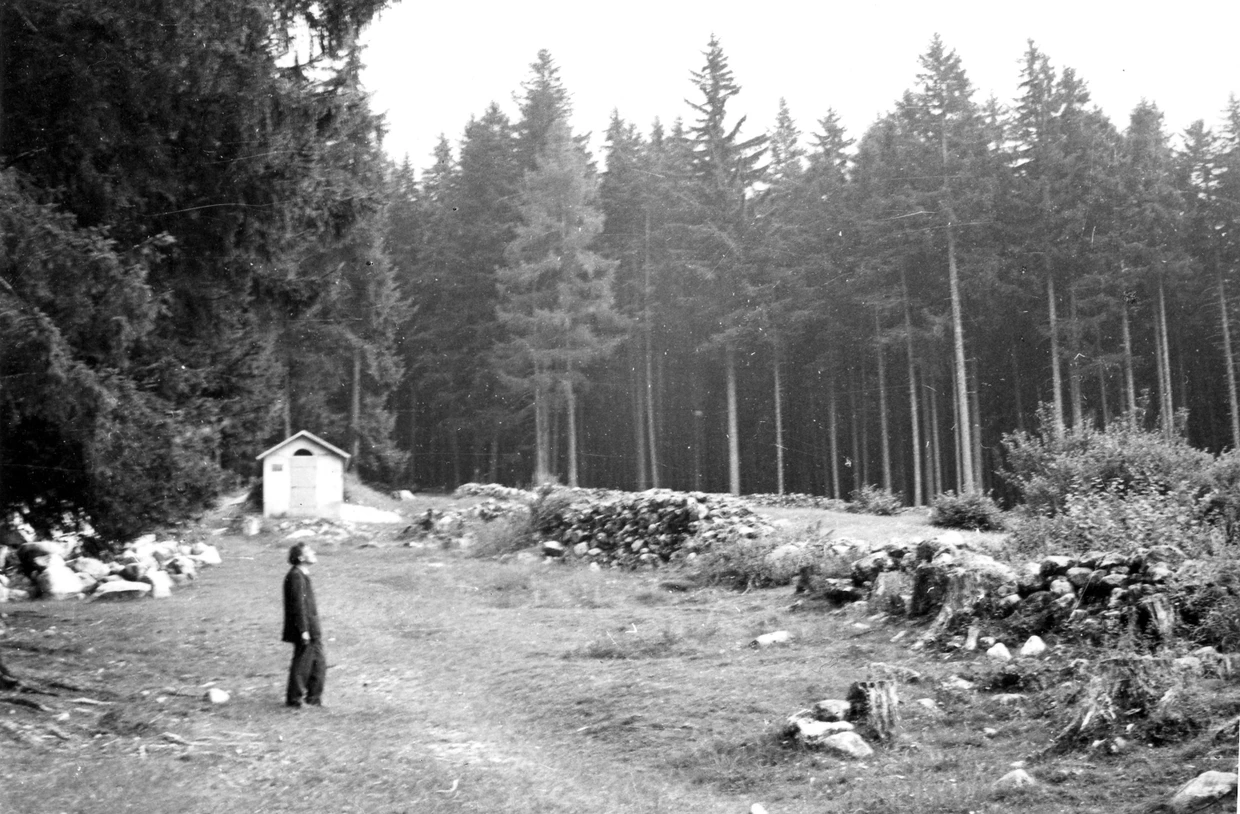 Umrundet von Frauen in Baumgestalt: Seltene Aufnahme von Alberto Giacometti auf seiner mystischen Lichtung im Wald über Borgonovo