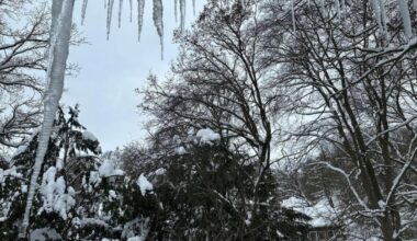 Boyens Medien - Polizei Hamburg warnt vor herabfallenden Eiszapfen