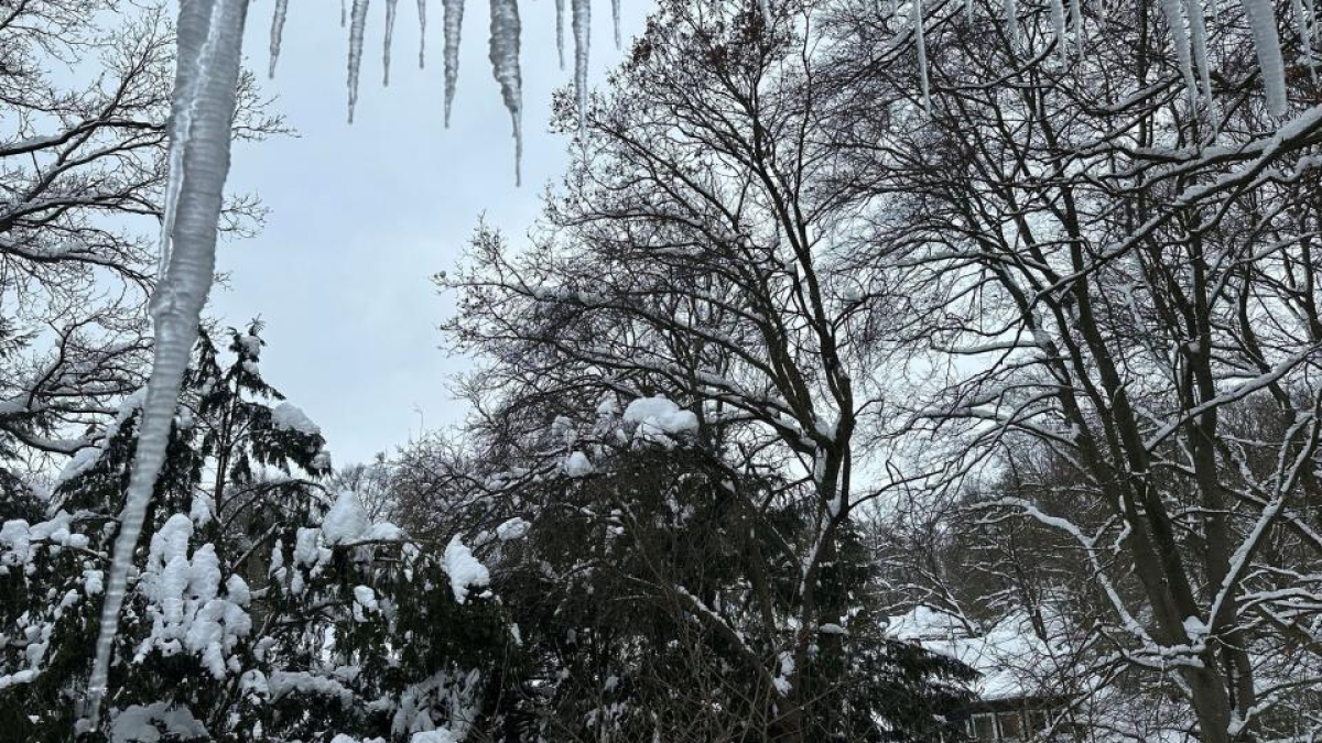 Boyens Medien - Polizei Hamburg warnt vor herabfallenden Eiszapfen
