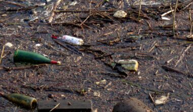 Müll an diversen Stellen im Uferbereich eines Flusses