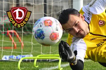 Konkurrenz für Schreiber: Neuer Dynamo-Keeper im Anflug!
