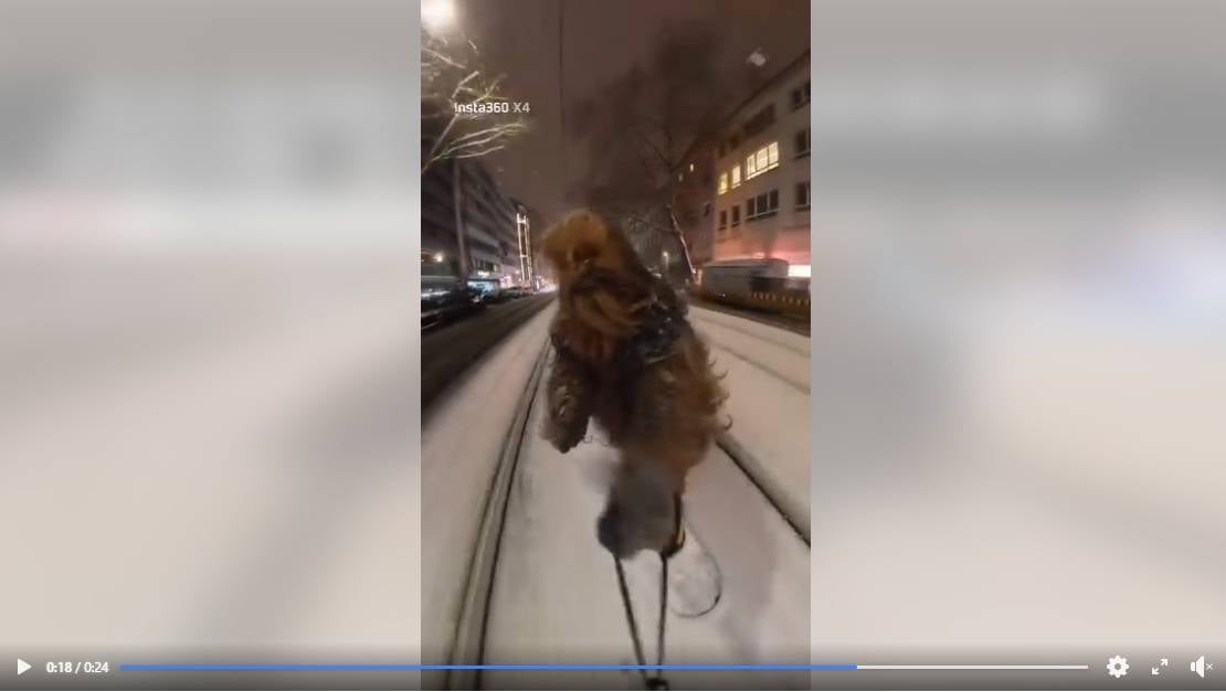 Chewbacca auf Snowboard in Düsseldorf – Polizei ermittelt