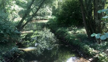 Veranstaltung auf dem Weg zu gesünderen Böden