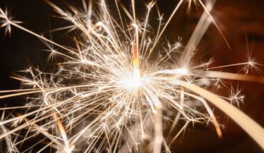 Am liebsten sind mir die schlechten Vorsätze