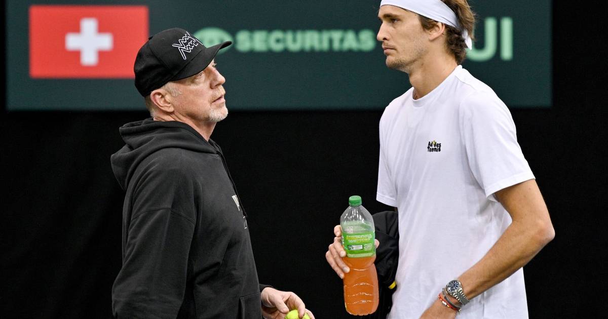 Australian Open 2026: Becker warnt Zverev vor Viertelfinale gegen Senkrechtstarter Tien - RP Online