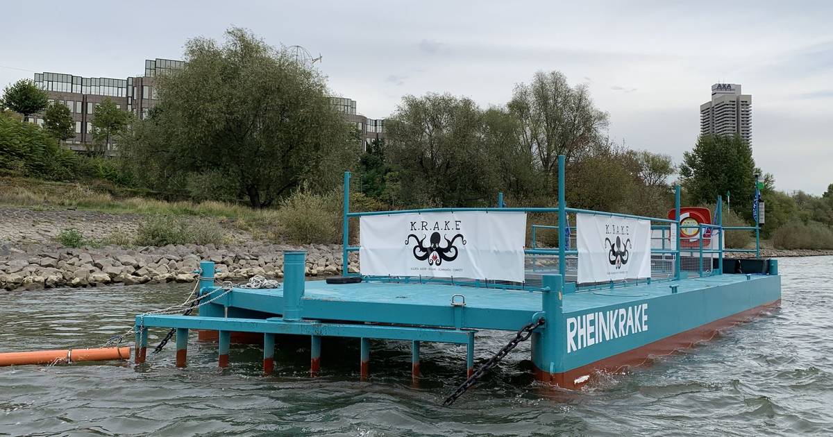 Im Rhein treibt viel mehr Müll als gedacht