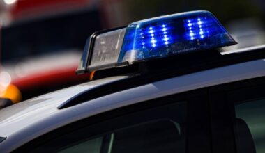 Cannabisplantage bei Zwangsverwaltung entdeckt