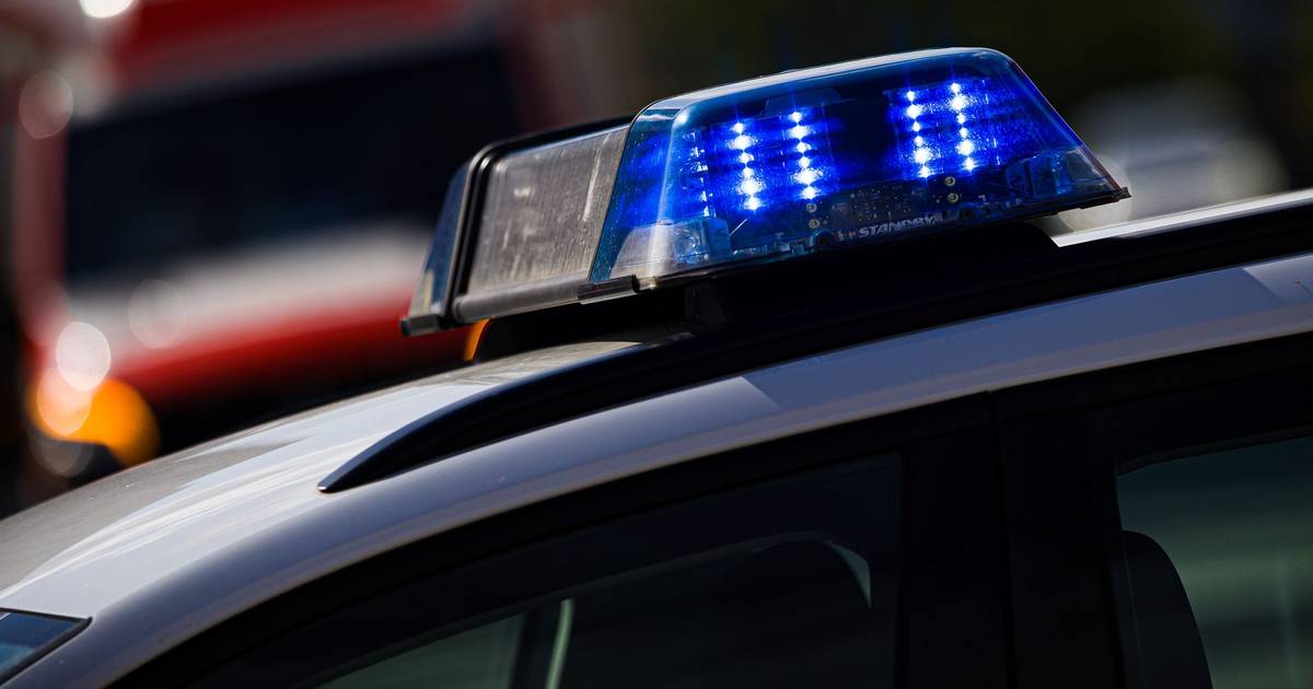 Cannabisplantage bei Zwangsverwaltung entdeckt