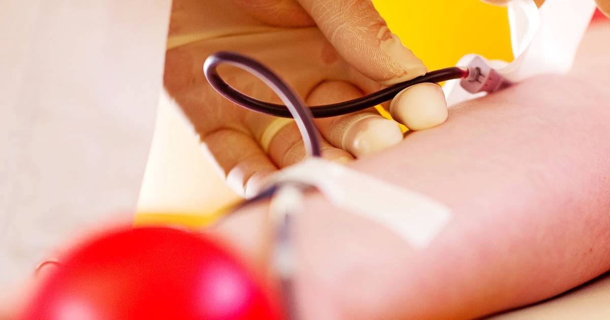 Ein Jahr voller Engagement und Veranstaltungen am Sudberg