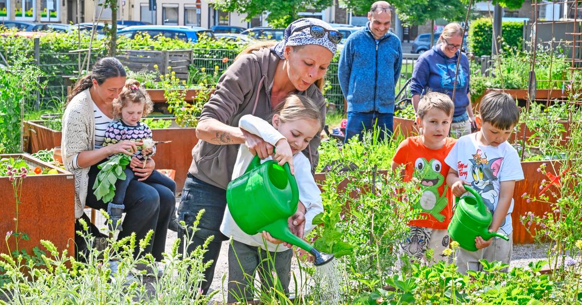 So stärkt der Verfügungsfonds die Gemeinschaft in Heckinghausen