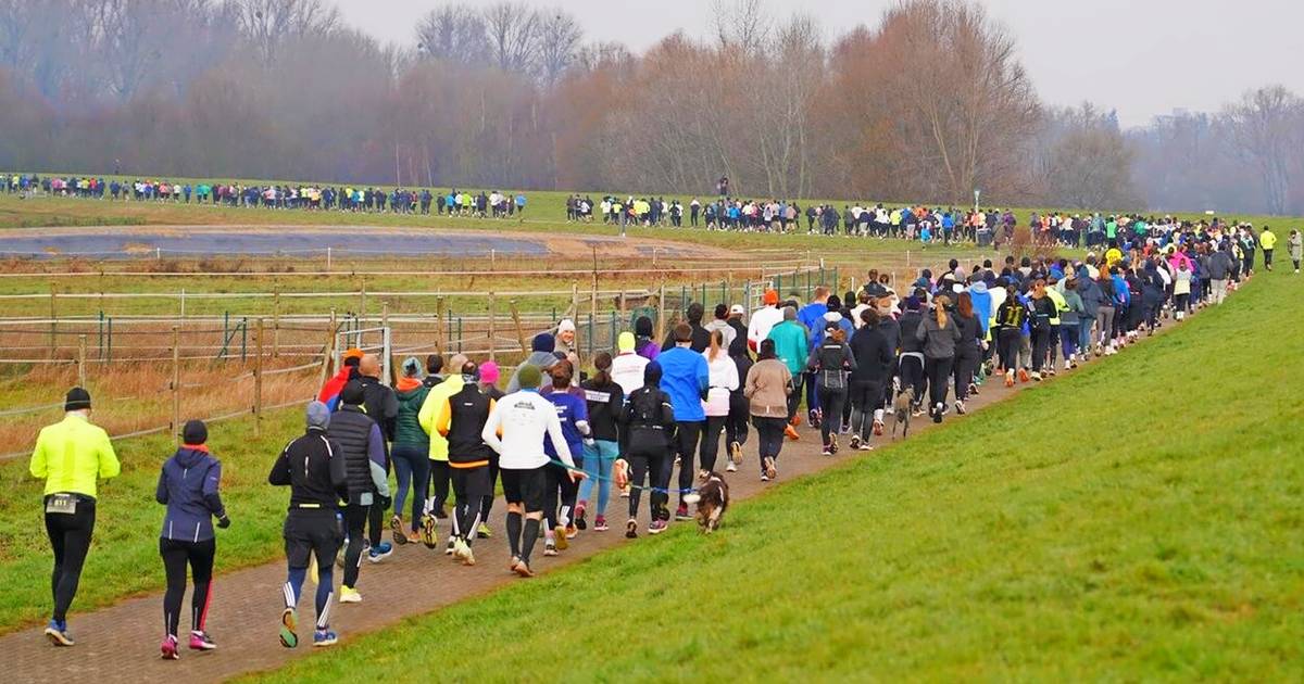 Gemeinschaftserlebnis Sport auf dem Uedesheimer Deich beim Silvesterlauf