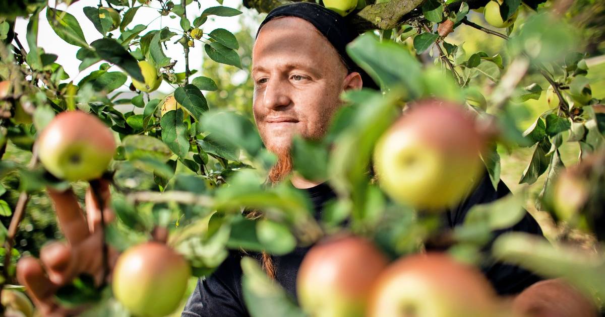 „Unterwegs im Grünen“ startet wieder