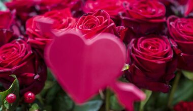 Das sind die Düsseldorfer Valentinswochen