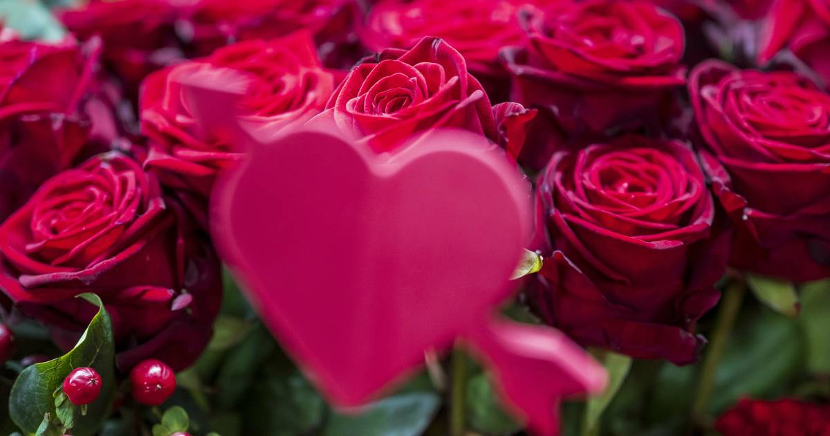 Das sind die Düsseldorfer Valentinswochen