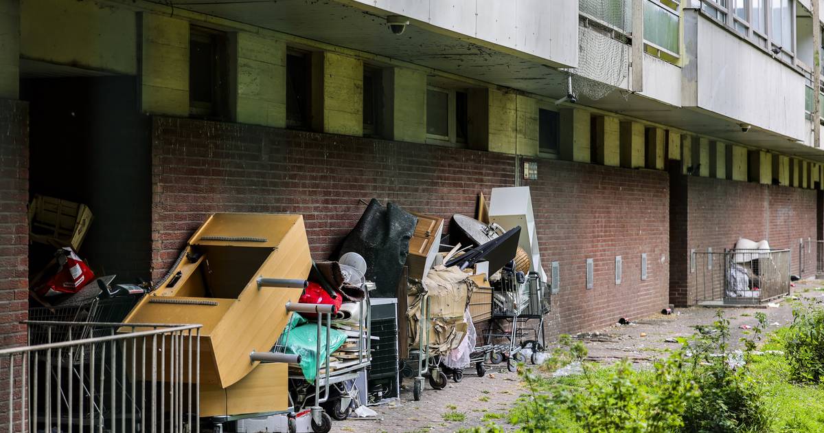 ewiger Kampf gegen wilden Müll