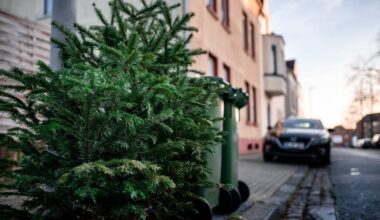 Pfadfinder und Entsorger im Einsatz