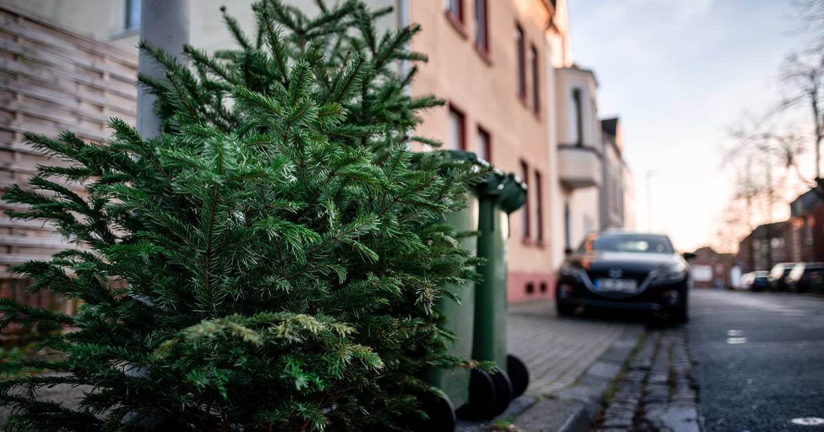 Pfadfinder und Entsorger im Einsatz