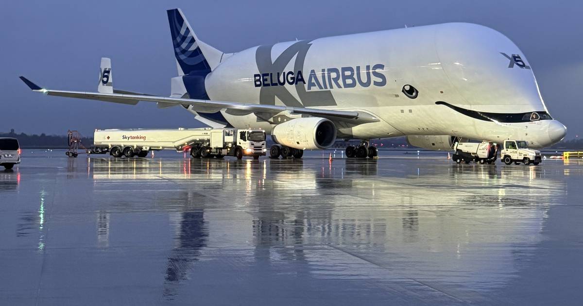 Seltener Airbus Beluga XL außerplanmäßig zu Besuch