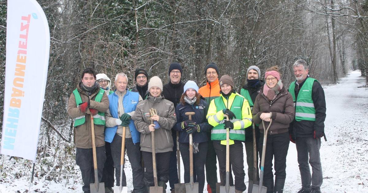 Der Kreis Viersen verschenkt Baum- und Strauchsetzlinge