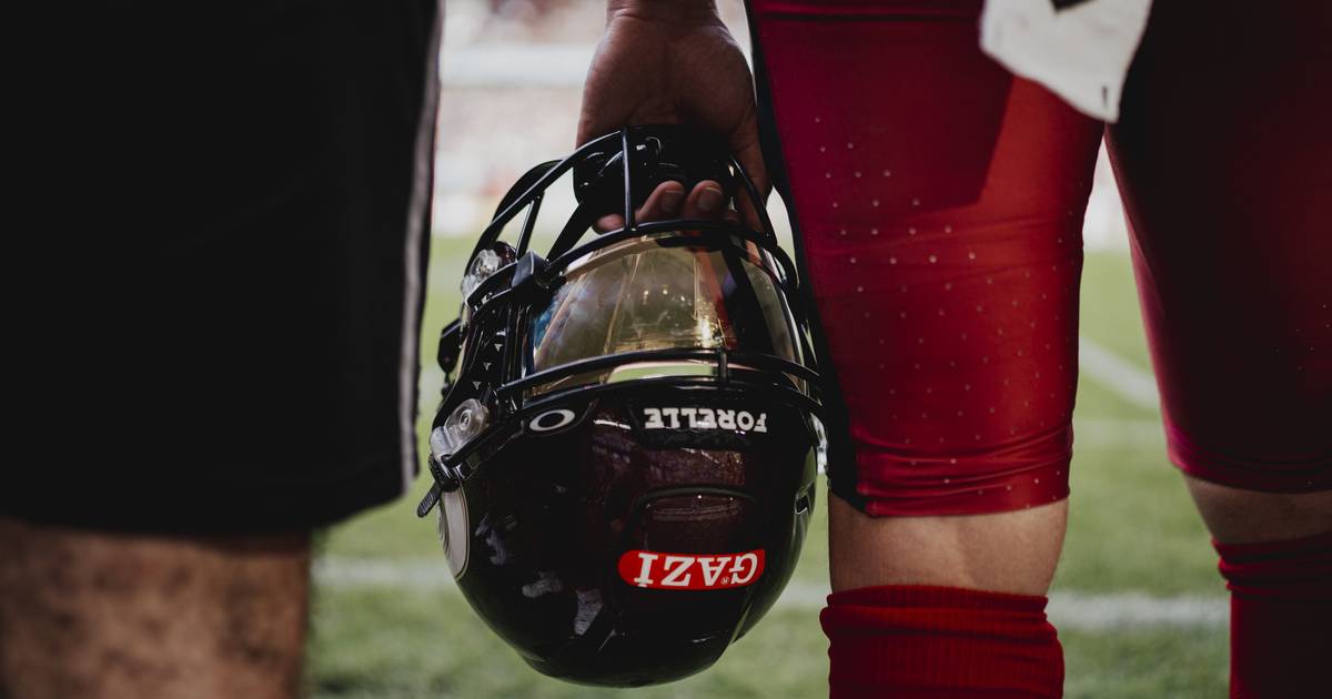 Pikante Details zur Gründung der AFLE-Betriebs-GmbH