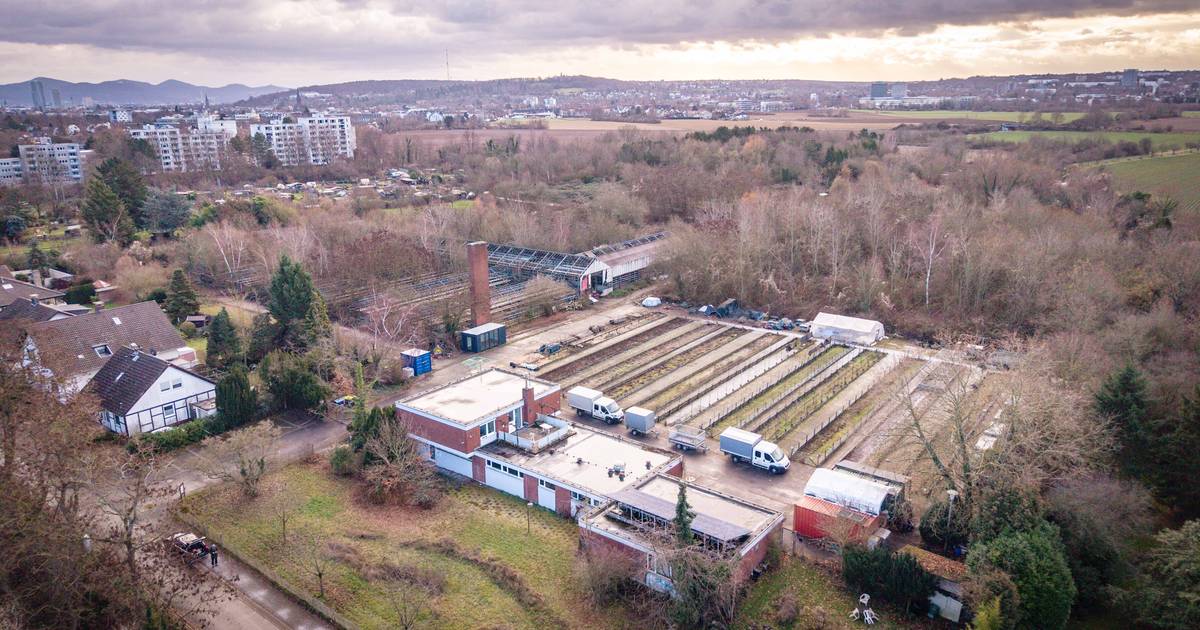 So geht es weiter mit der ehemaligen Stadtgärtnerei