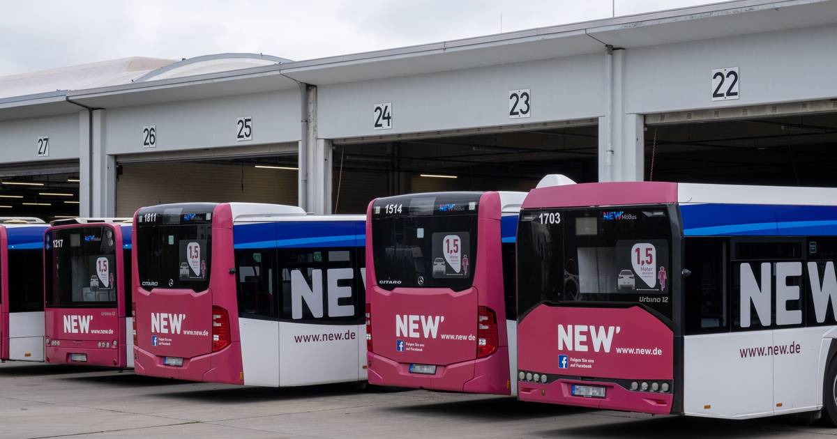 NEW startet 2026 eine Busbefragung