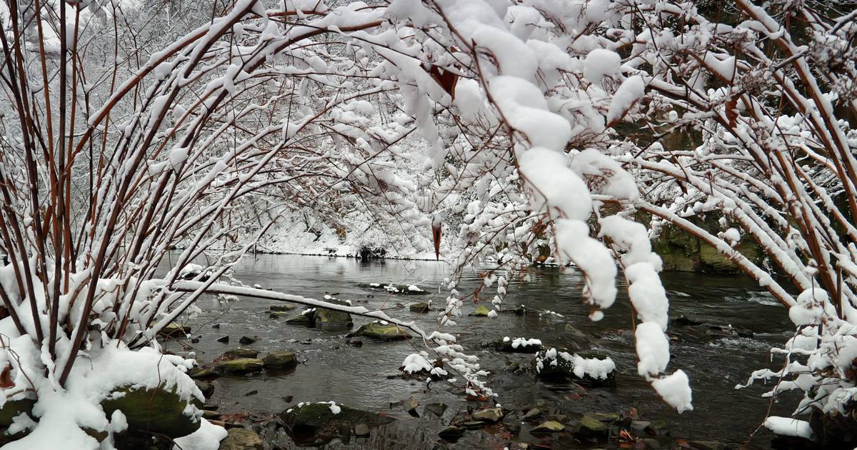 Winterzauber an der Wupper im Januar 2026