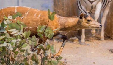 Hierfür kann man sich melden