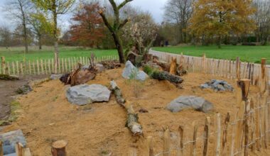 Stadt schafft mit Sandarium neuen Lebensraum für Insekten