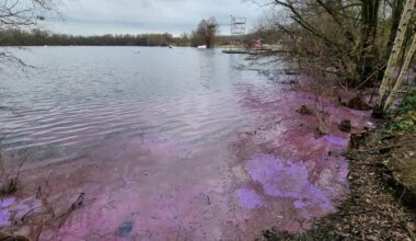 Rätsel um rotes Wasser im Schwafheimer See – Stadt warnt vor Kontakt