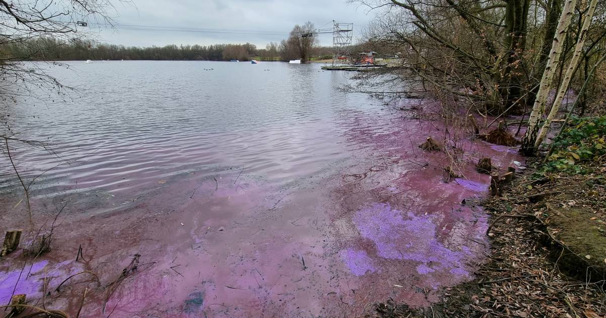 Rätsel um rotes Wasser im Schwafheimer See – Stadt warnt vor Kontakt