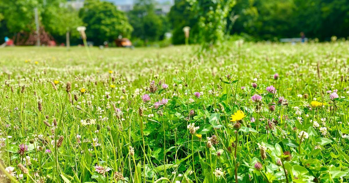 Neuer Treffpunkt für Sportbegeisterte in Gerresheim 