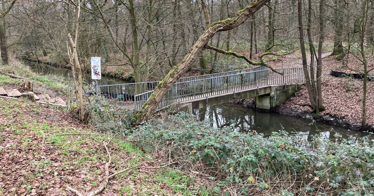 Politik legt Brückensanierung am Kaarster See auf Eis