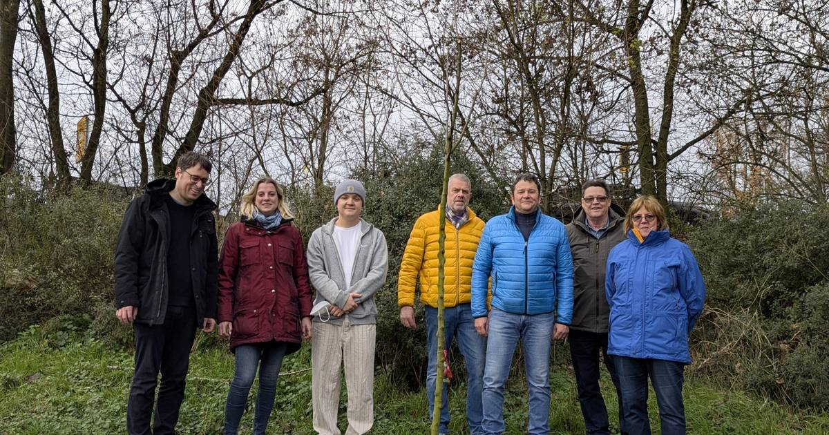 Von Nabu und Grünen gespendeter Apfelbaum am Kuhteich in Orsoy eingepflanzt
