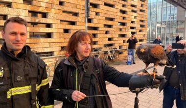 Bussard kommt nicht mehr aus Mauerlücke heraus: Feuerwehreinsatz in Wuppertal