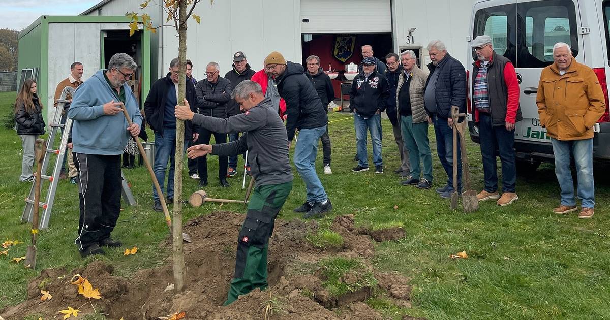Spenden für Haus Greefsgarten und Alo