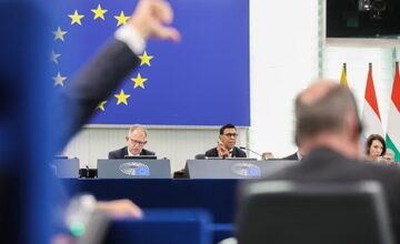 Daumen runter: Das EU-Parlament hat dem Freihandelsabkommen Mercosur seine Zustimmung verweigert (Foto: EU-Parlament)