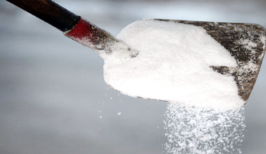 Chirurgen arbeiten durchgehend - Berlin gibt Streusalz auf Gehwegen frei | Aktuelle Nachrichten aus Deutschland und der Welt