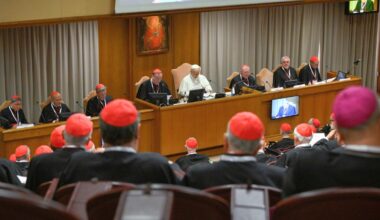 Papst Leo XIV. möchte regelmäßige Beratungstreffen aller Kardinäle