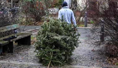 Wann in Bremen und Bremerhaven die Weihnachtsbäume abgeholt werden