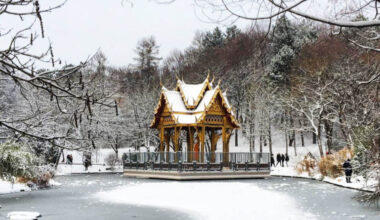 Wochenvorschau: Goodbye Christbaum & Kandidat*innen für die Kommunalwahl