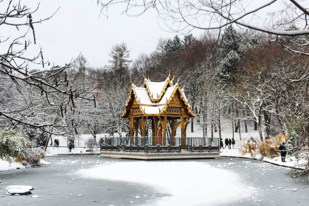 Wochenvorschau: Goodbye Christbaum & Kandidat*innen für die Kommunalwahl