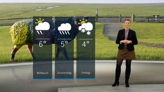 NDR Schleswig-Holstein Moderatorin Birte Steuer mit der Wettervorhersage. | NDR NDR Schleswig-Holstein Moderatorin Birte Steuer mit der Wettervorhersage.