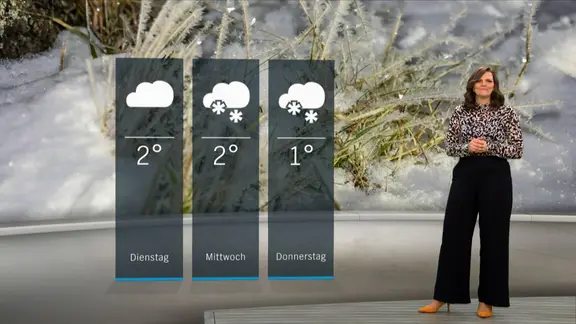 NDR Schleswig-Holstein Moderatorin Doreen Pelz mit der Wettervorhersage. | NDR NDR Schleswig-Holstein Moderatorin Doreen Pelz mit der Wettervorhersage.