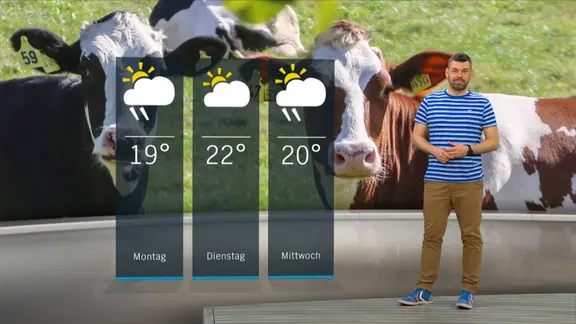 NDR Moderator Sebastian Wache steht im Studio mit der Wettervorhersage.
