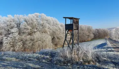 Jäger schießt auf Frau - Spaziergängerin offenbar mit Wild verwechselt - NDR.de