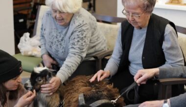 Ungewohnte Töne in der Johanniter-Tagespflege in Radebeul