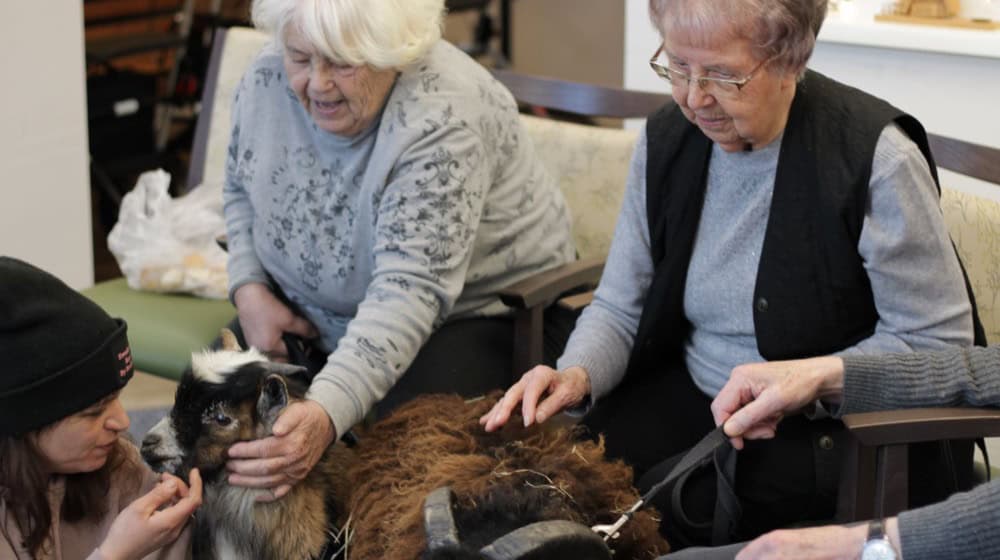 Ungewohnte Töne in der Johanniter-Tagespflege in Radebeul