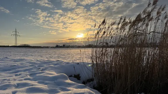 Die Sonne geht über ein mit Schnee bedecktes Feld in Niedersachsen unter. | NDR, Sabine Hausherr Die Sonne geht über ein mit Schnee bedecktes Feld in Niedersachsen unter.