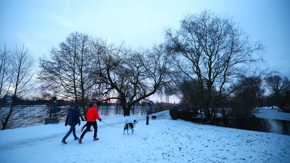 Spaziergänger sind bei winterlichen Bedingungen an der Hamburger Außenalster mit Hunden unterwegs.